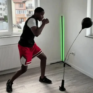 New Premium Agility Punching Bag